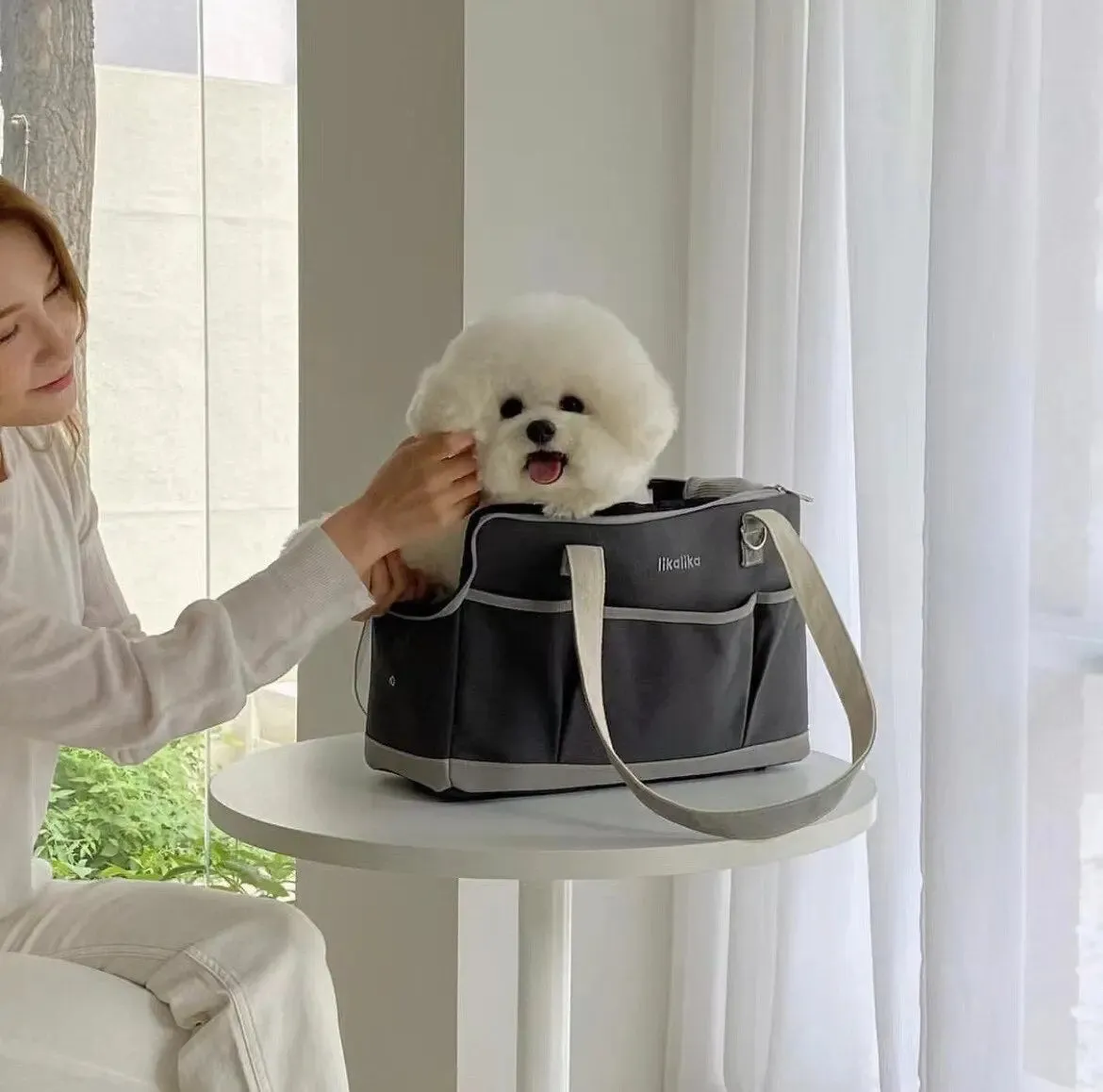 Dog Carrier Purse - Style B