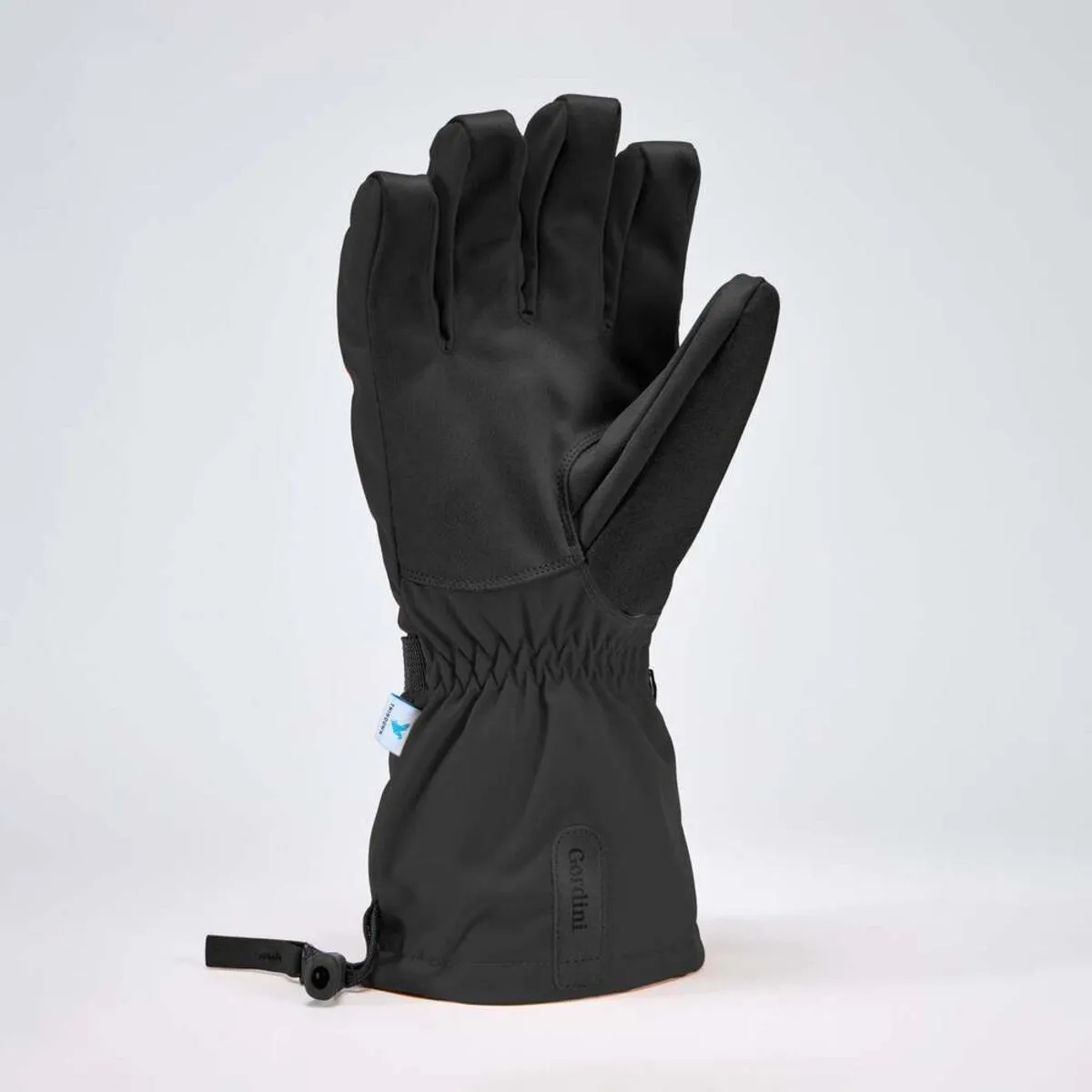 Gordini Men's Windward Gloves