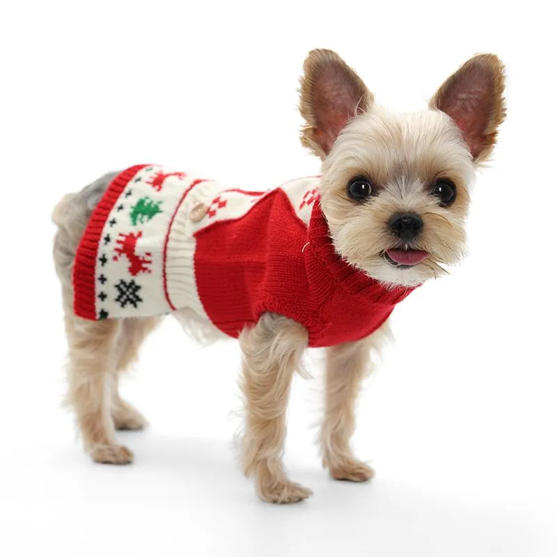 Jolly Dog Sweater Dress