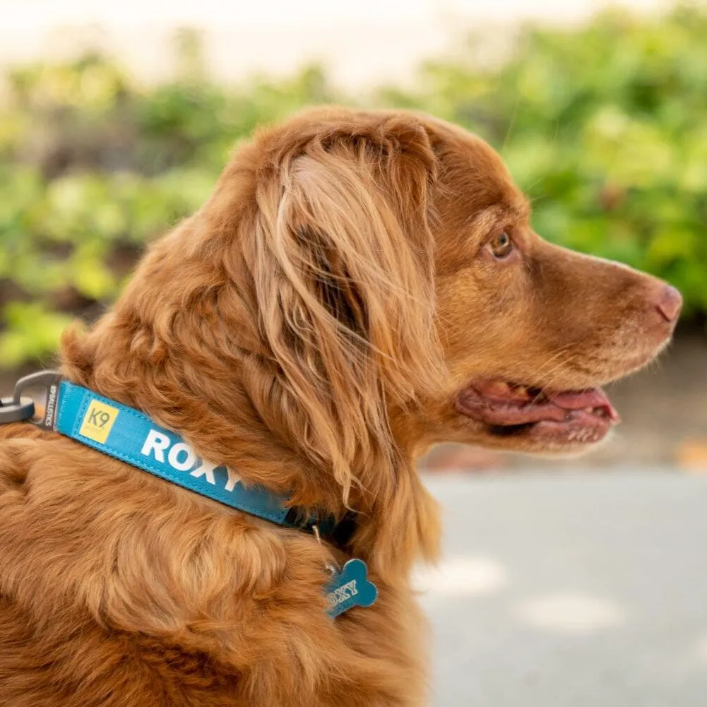 K9 Everyday™ Dog Collar - Seasonal Colors