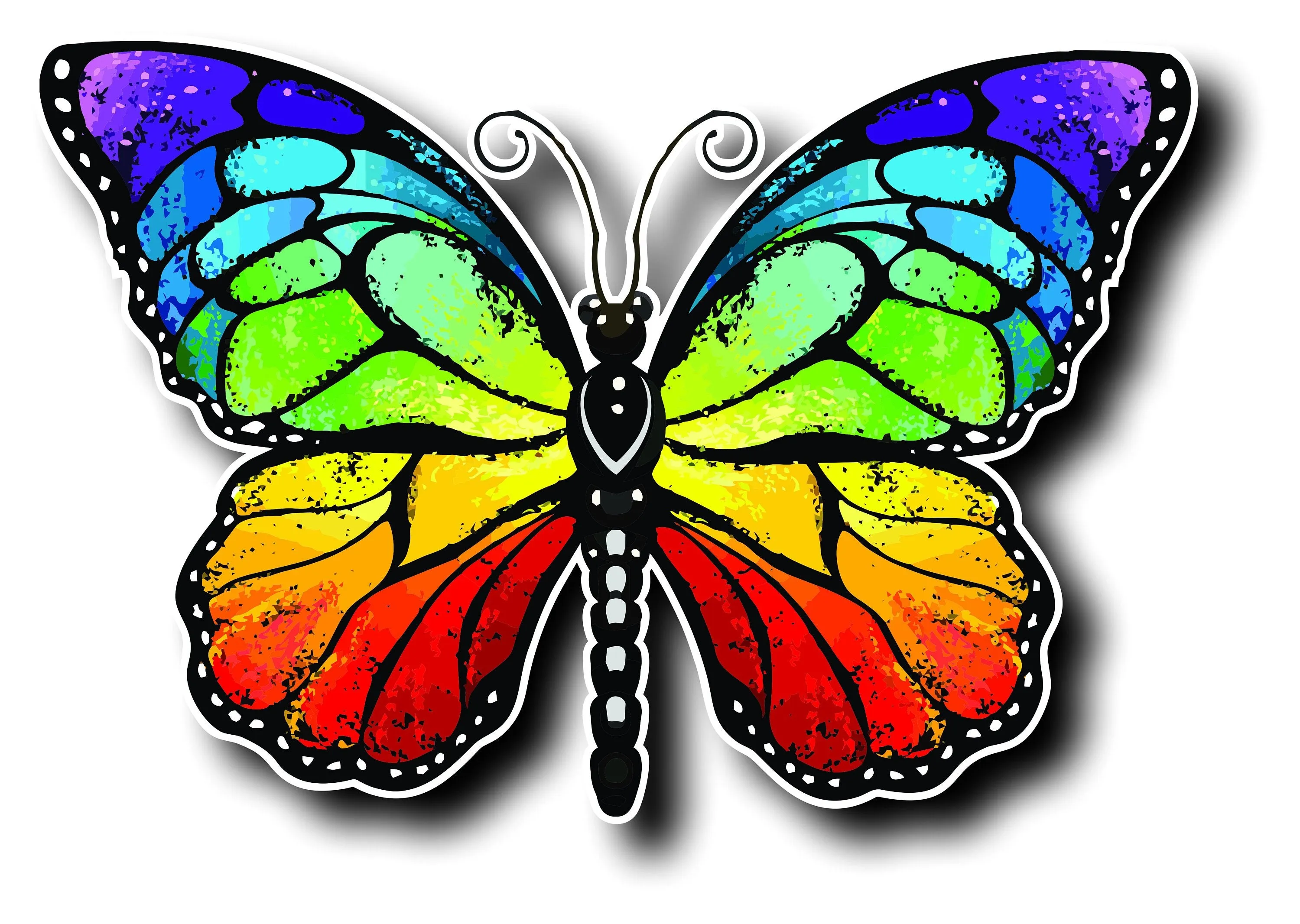 Rainbow Monarch Butterfly