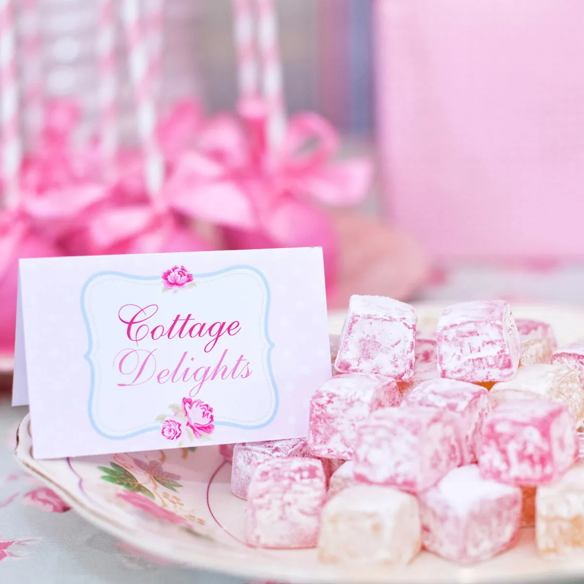 Shabby Chic Princess Party Decorations | Princess Birthday Party